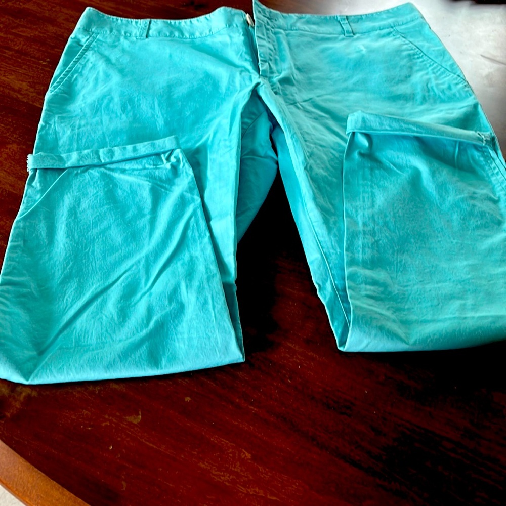 The Limited Ankle Slacks